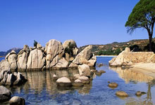 CBA季后赛战况：广州队防线稳固，武汉三镇进攻受阻，姆巴佩成最佳的简单介绍